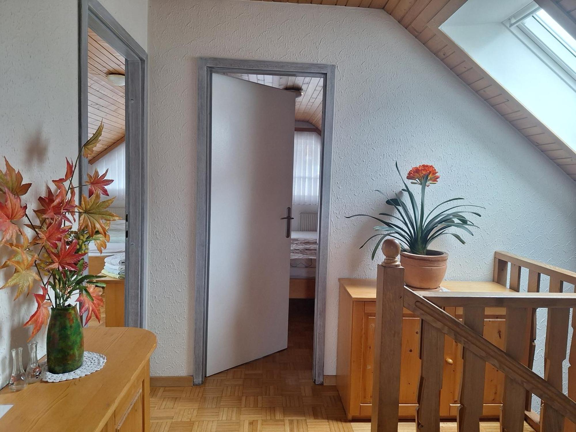 Apartmaji Marinka Hodnik Bohinj Buitenkant foto
