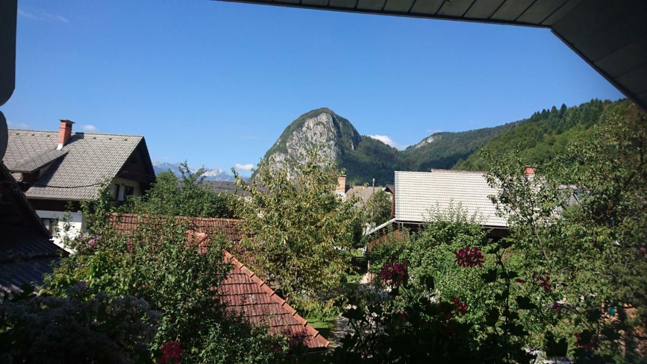 Apartmaji Marinka Hodnik Bohinj Buitenkant foto